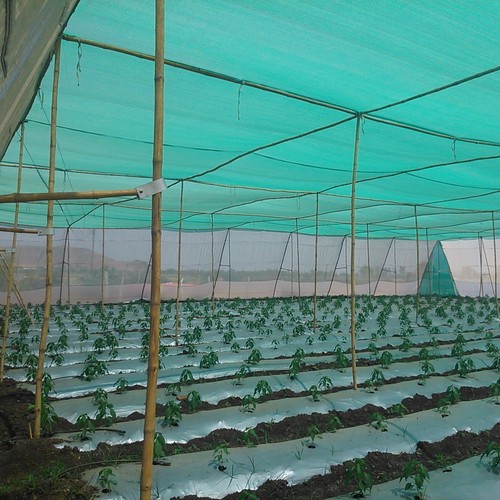 Shade Nets manufactured by B&V Agro Irrigation Co